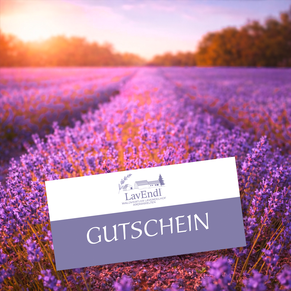 Gutschein für Lavendel-Produkte